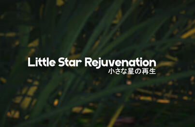 Little Star Rejuvenation ✨